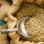 What is White Coffee_ Beans, Benefits, and 3 Recipes