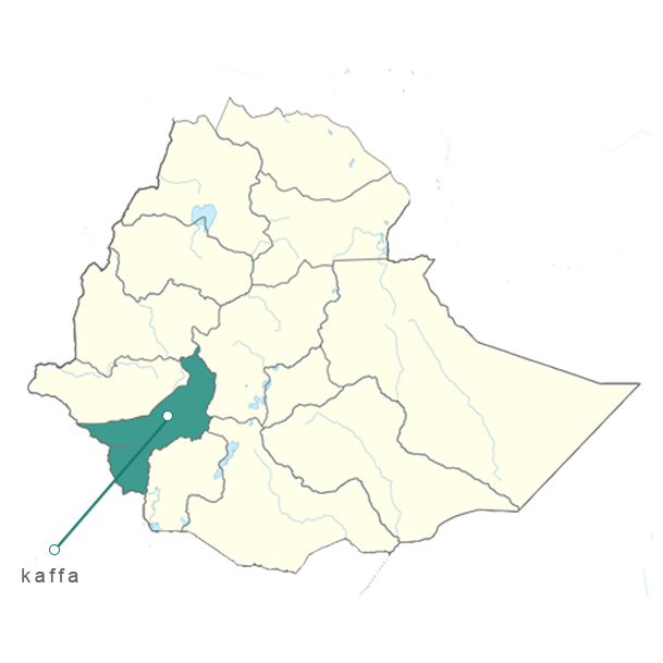 Kaffa